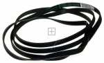 Poly v belt - C00313102 481235818186 Poly-v-belt [Whirlpool Indesit]
