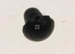 Smeg Rubber Stop - 754010078 Rubber For Grid